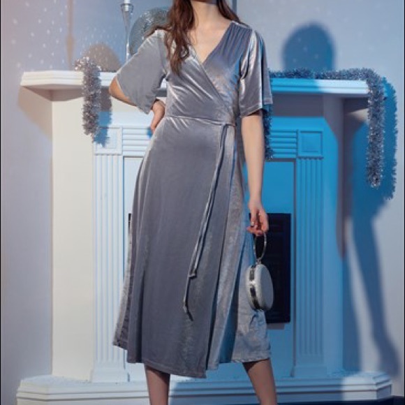 Pearl-Silver Velvet Zara Midi dress - Picture 4 of 5